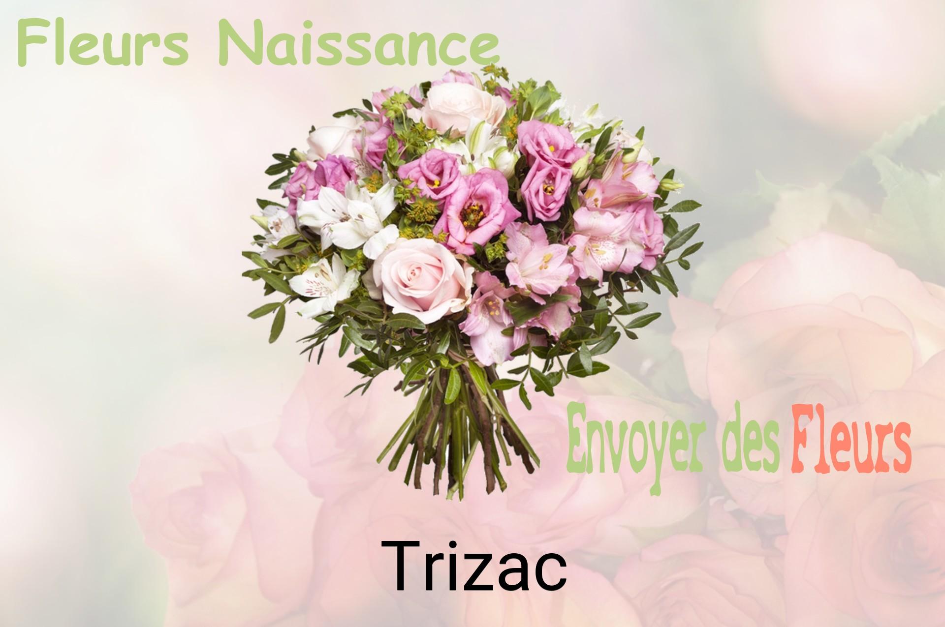 Bouquet de fleurs de naissance livré à Trizac
