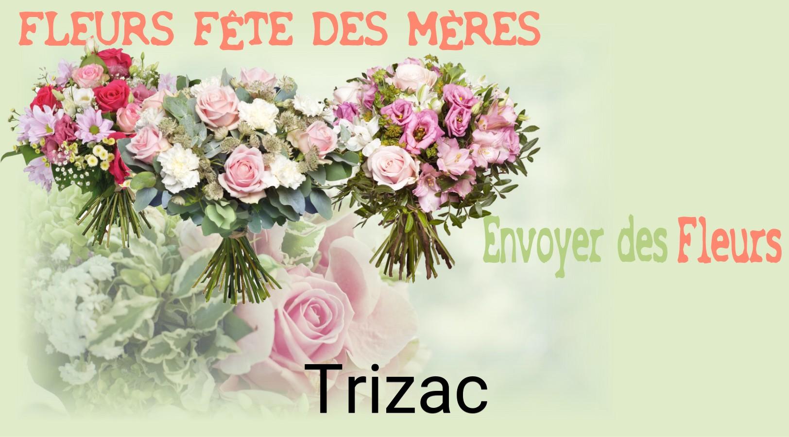 Bouquet de Fête des Mères livré à Trizac